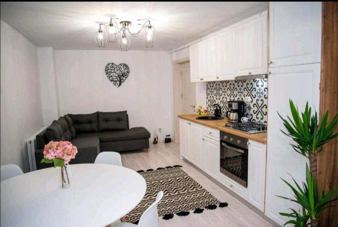 Apartament Daria Тыргу-Окна Экстерьер фото